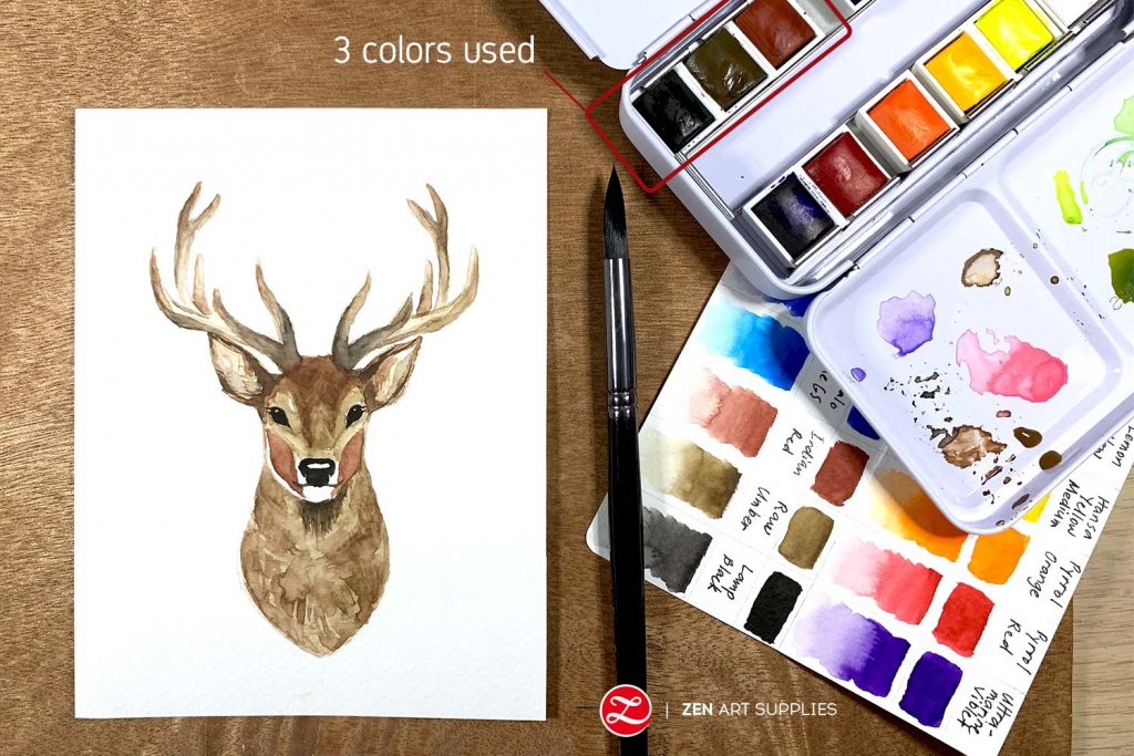 White-tailed deer Colouring Pages Coloring book Drawing, fairy tale  material, watercolor Painting, antler png | PNGEgg
